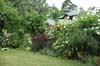 House in the Trees